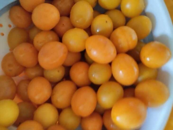 Варенье из алычи с косточками