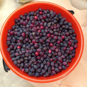 Варенье из ирги Варенье из ирги