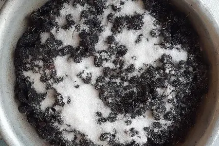 Варенье из шелковицы с апельсином Варенье из шелковицы с апельсином