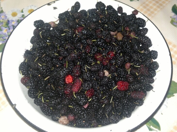 Варенье из шелковицы с апельсином Варенье из шелковицы с апельсином