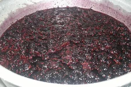 Варенье из шелковицы с апельсином Варенье из шелковицы с апельсином