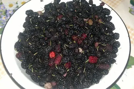 Варенье из шелковицы с апельсином Варенье из шелковицы с апельсином