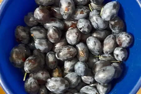 Варенье из слив с какао Варенье из слив с какао