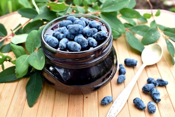 Варенье из жимолости Варенье из жимолости