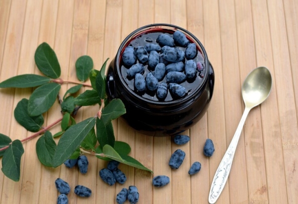 Варенье из жимолости Варенье из жимолости