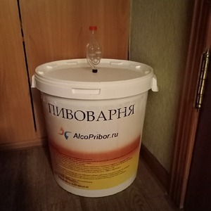 Вино из красной смородины Вино из красной смородины