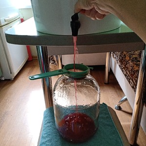 Вино из красной смородины Вино из красной смородины