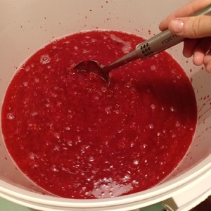 Вино из красной смородины Вино из красной смородины