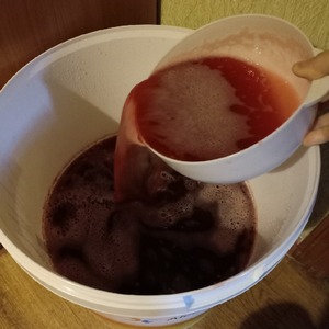 Вино из красной смородины Вино из красной смородины