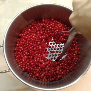 Вино из красной смородины Вино из красной смородины