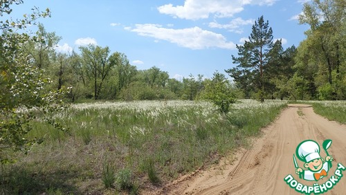 Запеченная кукуруза с фаршем индейки "Мексика" Запеченная кукуруза с фаршем индейки "Мексика"