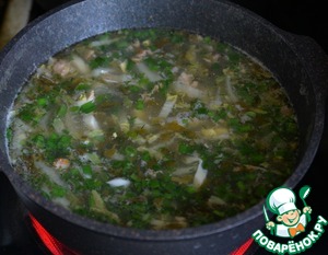 Зелёный борщ "Походный" Зелёный борщ "Походный"