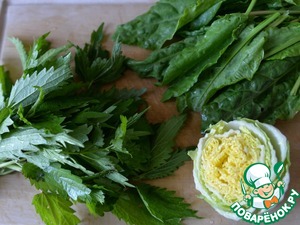 Зелёный борщ "Походный" Зелёный борщ "Походный"